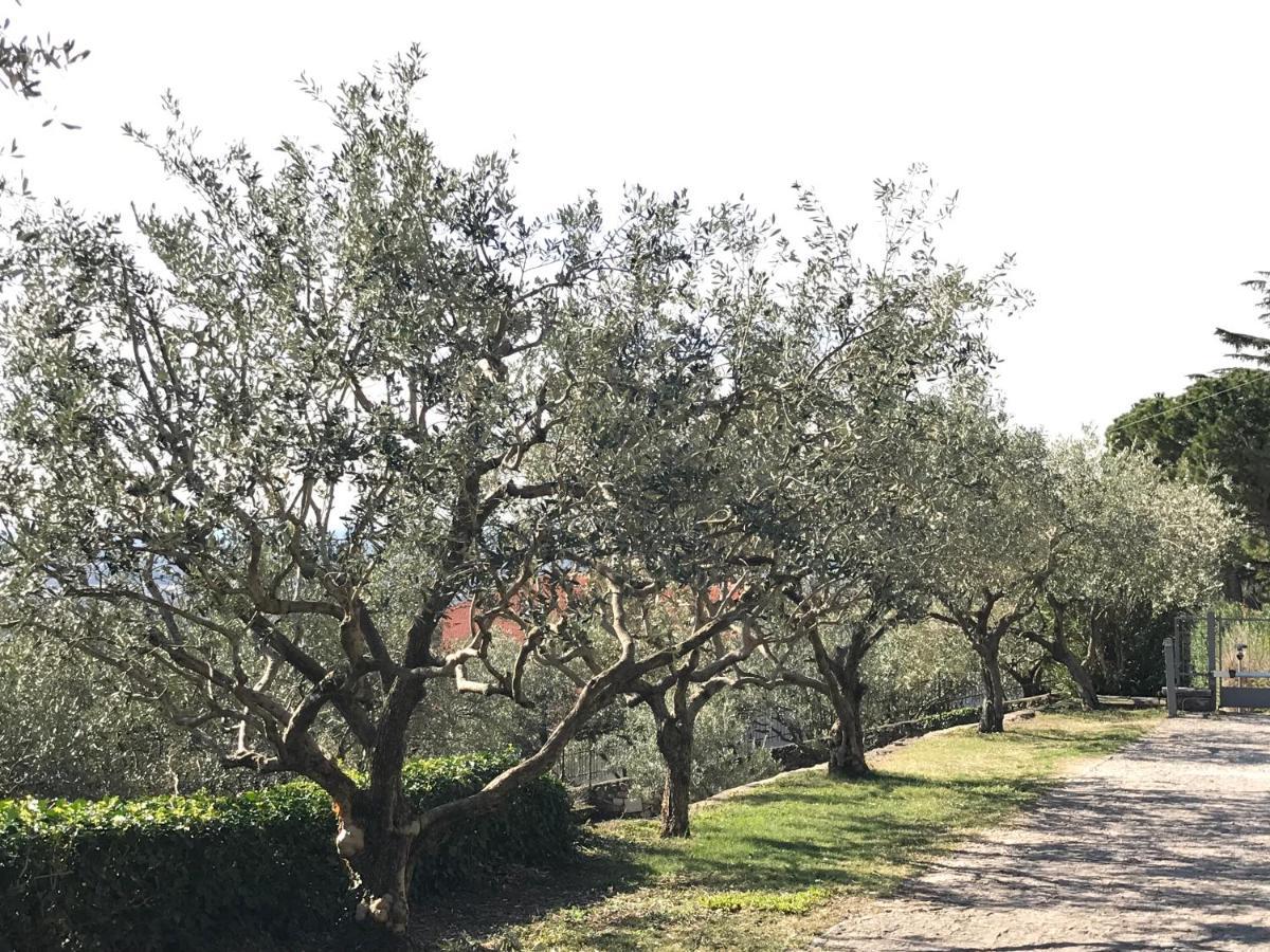Апартаменты Valpolicella Hills Неграр Экстерьер фото