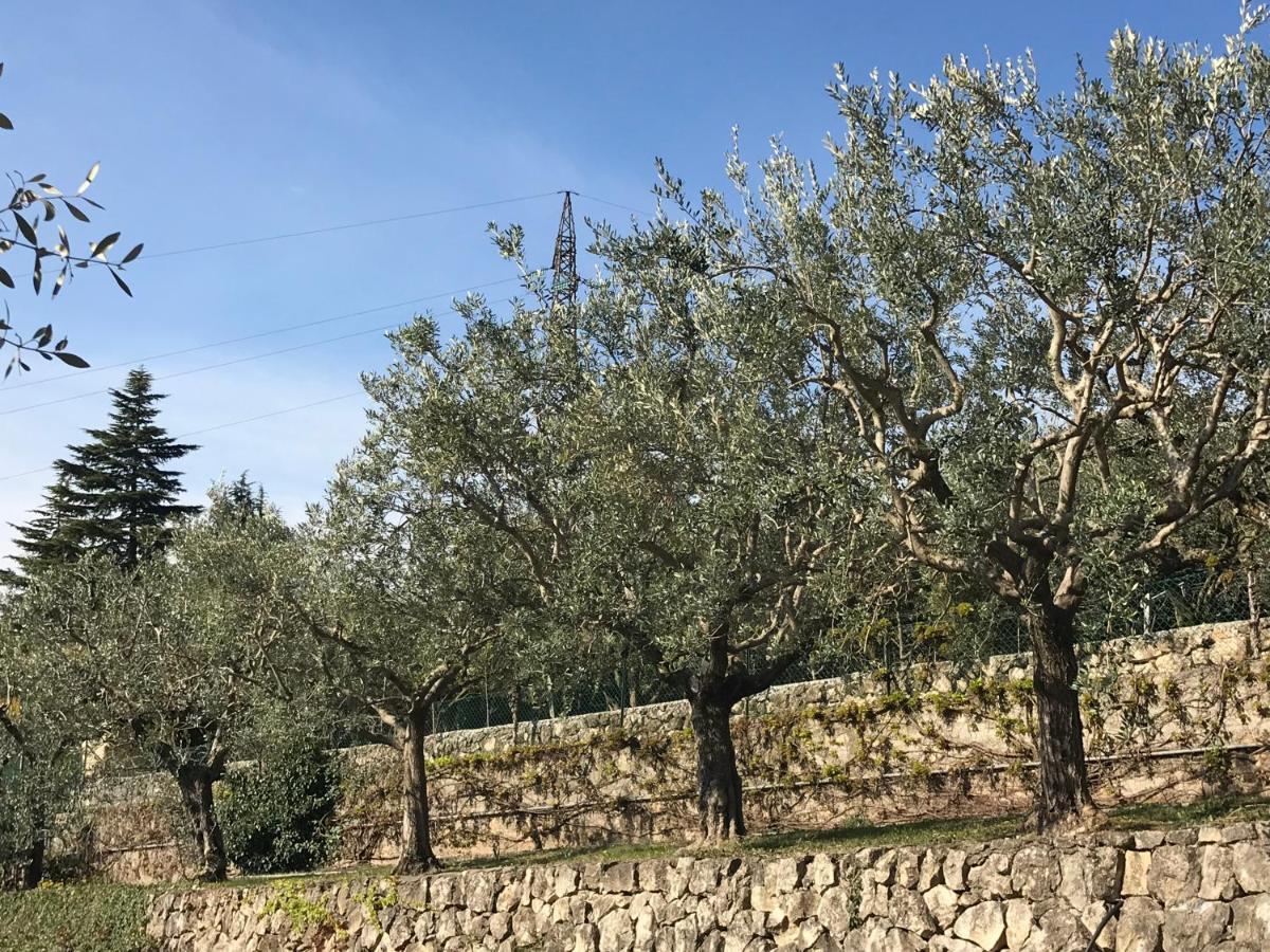 Апартаменты Valpolicella Hills Неграр Экстерьер фото